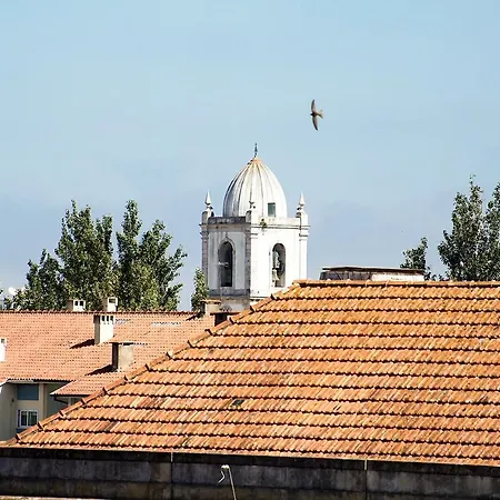Photo House - Bairro Calmo No Centro De * Aveiro